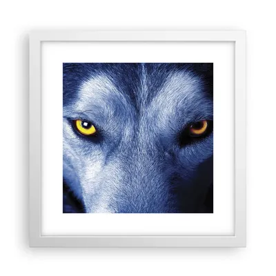 Produktbild von Gerahmtes Poster - Weißer Rahmen - Schau der Wolf Augen - 30x30 cm - Wand Bild - Wanddeko - Wandbilder - Kunstposter - Wandposter - Bilderrahmen - Bilder - Kunstdruck - P2WAC30x30-4587