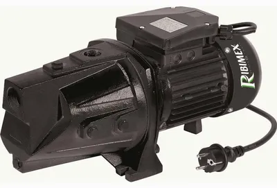 Image de Pompe à eau 1800w auto-amorçante Ribiland