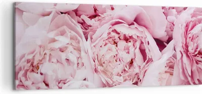 Produktbild von Bild auf Leinwand - Leinwandbild - Einteilig - Blumenstrauß Blumen Rosa - 120x50cm - Wand Bild - Wanddeko - Wandbilder - Leinwanddruck - Bilder - Wanddekoration - Leinwand bilder - AB120x50-5001