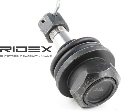 Produktbild von RIDEX Traggelenk Vorne Unten für NISSAN NP300 Navara Pritsche / Fahrgestell (D40) 2462S0073