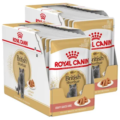 Produktbild von Royal Canin FBN British Shorthair Adult 24x85g Nassfutter in Soße für ausgewachsene Britisch Kurzhaar Katzen