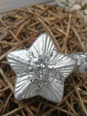 Produktbild von Christbaumkugel Stern Zilia, silber