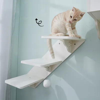 Produktbild von CatS Design Kletterwand große Katzen stabil Wandkratzbaum Kletterstufen F4