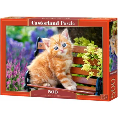Image de Puzzle 500 pièces Chaton Gingembre 52240