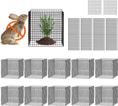 Image de SucceBuy Lot de 10 protections pour plantes, cages grillagées 12 "x12", protection des plantes en extérieur pour fleurs, légumes, éloigne les animaux, grillage métallique