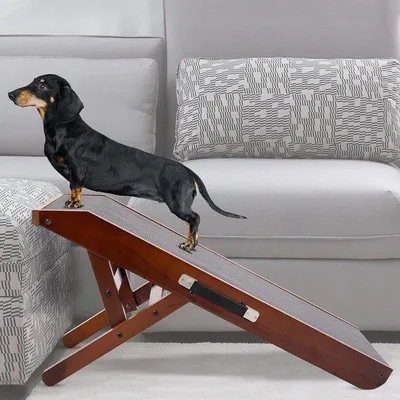 Produktbild von Famanu Hundenlaufplanke für Auto - Verstellbar 18 bis 53 cm - Berkenholz - Faltbar