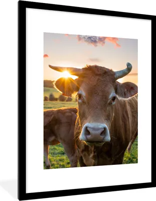 Produktbild von MuchoWow® Gerahmtes Poster Kühe - Sonne - Wiese - Landleben 60x80 cm - Poster mit Schwarzem Bilderrahmen Wandposter Rahmen Foto Bilder - Wohnzimmer - Dekorationen - Prämie