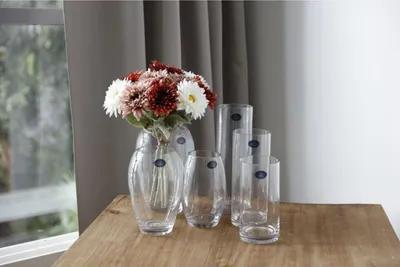 Image de 6x Vases Verre Cylindre Décoration Table Fleurs Plantes Récipient Bouquet Petits vases