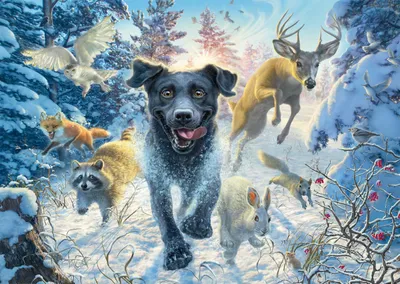 Produktbild von Mark Fredrickson: Hundeliebe - schwarzer Labrador im Schnee (1000 Teile)