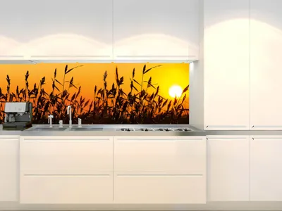 Zdjęcie produktu dla Dimex fototapety do kuchyne, samolepiace KI-180-128 Rákosie 60 x 180 cm