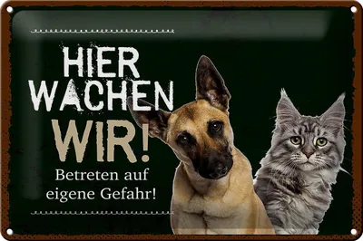 Produktbild von Blechschild Hinweis Hier wachen unsere Hunde, 30 x 20 cm, Blechschilder Tiere Achtung