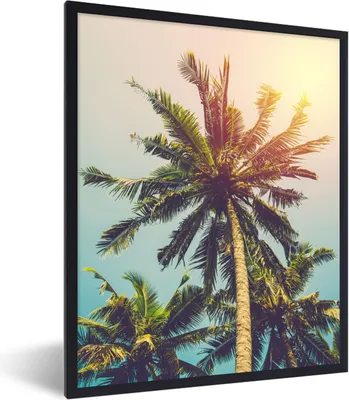 Produktbild von MuchoWow® Gerahmtes Poster Palme - Sommer - Tropisch - Sonne 60x80 cm - Poster mit Schwarzem Bilderrahmen Wandposter Rahmen Foto Bilder - Premium - Wanddeko Wohnzimmer