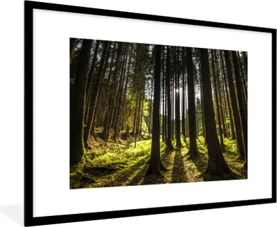 Produktbild von MuchoWow® Gerahmtes Poster Baum - Natur - Sonne - Wald 90x60 cm - Poster mit Schwarzem Bilderrahmen Wandposter Rahmen Foto Bilder - Wanddekoration - Fotos