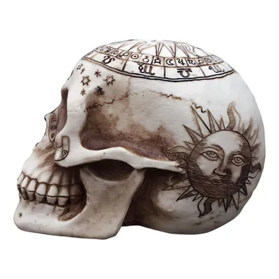 Produktbild von Totenkopf / Totenschädel