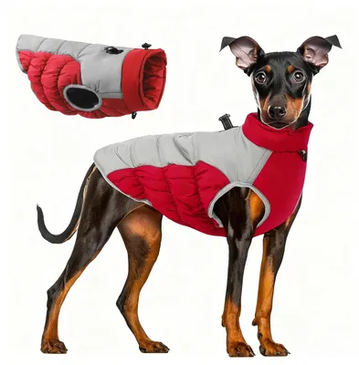 Imagen del producto de Chaqueta impermeable para perros - Color rojo