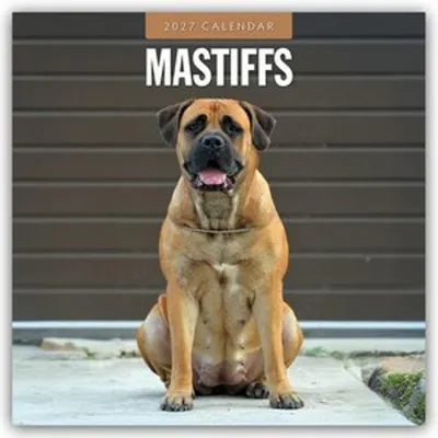 Produktbild von Mastiffs - Mastiff 2027 - 16-Monatskalender