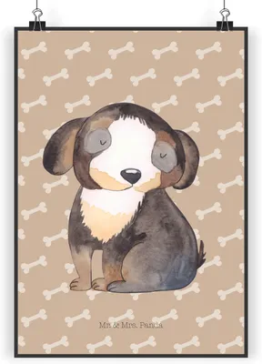 Produktbild von Mr. & Mrs. Panda Bild Hund Entspannen DIN A4 - Hundeglück - Geschenk, kunstposter, Sprüche, Niedlich, Deko, Süß, wanddeko, drucke, Liebe, Entspannt, Wandbild