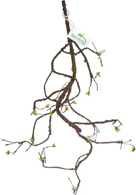 Immagine prodotto di Terrario - Ramo decorativo artificiale con germogli per terrario - 100 cm Terrario