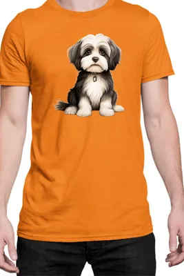 Immagine prodotto di Maglietta da uomo Dogs Breeds Collie Dog Breed 005, Man 2XL , Orange