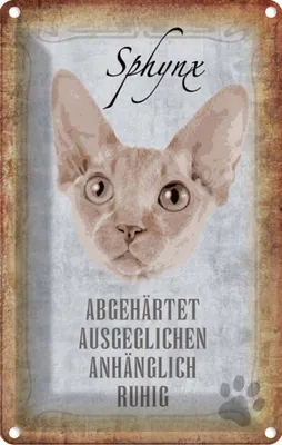 Produktbild von vianmo Blechschild 18x12 cm Sphynx Katze Tier Haustier