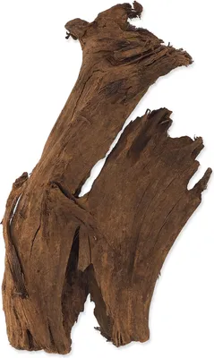 Produktbild von Repti Planet 007-59003, Fingerwurzeln, Holz, 1 Stück(e), 360 mm