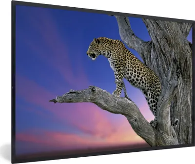Produktbild von MuchoWow® MuchoWow® Gerahmtes Poster Leopard - Baum - Zweig 90x60 cm - Poster mit zchwarzem Bilderrahmen - Fotorahmen - Foto-Plakat