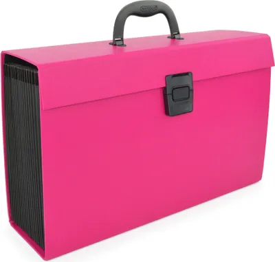 Produktbild von RAPESCO Fächertasche DIN A4 19 Fächer pink