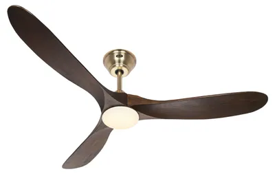 Immagine prodotto di ECO GENUINO L 152, Ventilatore con Luce, CasaFan