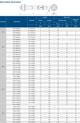 Image de Goujons d'ancrage pour béton non fissuré 10X115 boîte de 50 - RAWL - R-XPT-10115/45