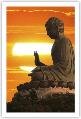 Produktbild von Poster - Poster ohne Rahmen - tempel buddha - 61x91,5 cm - Wand Bild - Wanddeko - Wandbilder - Kunstposter - Wandposter - Bilder - Kunstdruck - Wanddekoration - Wandbild - P2XPA61x91-3532