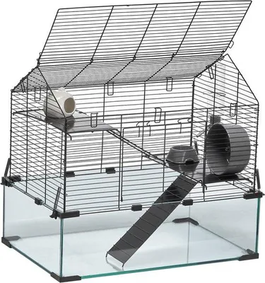 Produktbild von Hamsterkäfig 57x38x54cm, 360° transparent, mit Wasserflasche