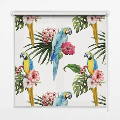 Produktbild von Seitenzug-Rollo Fensterrollo Jalousie - Lichtdurchlässig Springrollos - 70x140 cm - Papagei auf Blume
