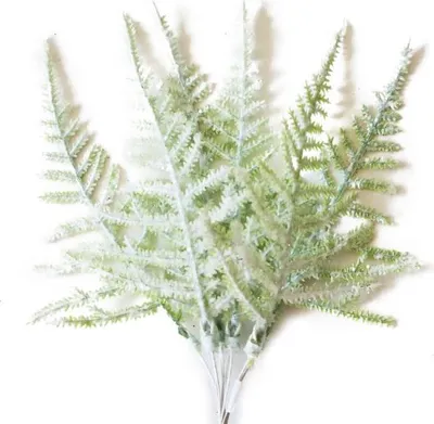 Produktbild von Zweig MagicHome Weihnachten, Farn, weiß, 19 cm