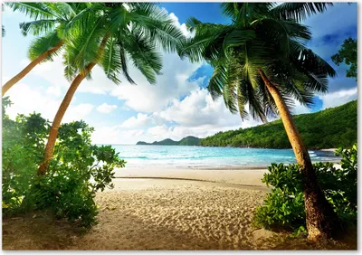 Produktbild von Tulup® Leinwandbild - 100x70 cm - Wandkunst - Drucke auf Leinwand - Leinwanddruck  - Landschaften - Grün - Palmen am Strand