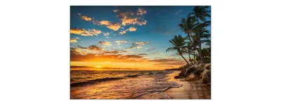 Produktbild von Muralo Fototapete 360 x 240 cm Vlies Tapete Wandtapeten moderne Wandbilder XXL Strand Sand Meer Himmel Palmen