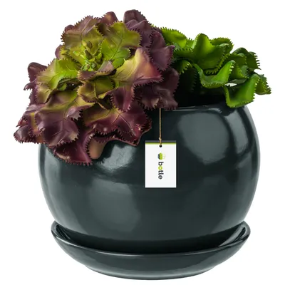 Produktbild von Blumentopf Blumenübertopf Graphit Kugel Blumenschale mit Untersetzer Rund BxH 110 mm x 100 mm Oberfläche Glanz Keramik Modern Glamour
