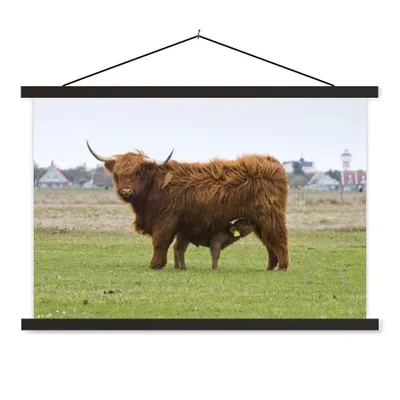 Produktbild von MuchoWow® Textilposter Schottischer Highlander - Kuh - Gras 150x100 cm mit schwarzem Rahmen - Schlafzimmer