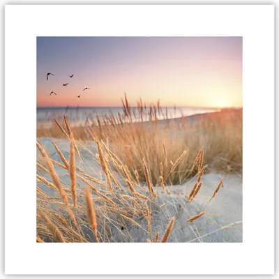 Produktbild von Poster - Poster ohne Rahmen - Sonne Vögel Sand - 30x30 cm - Wand Bild - Wanddeko - Wandbilder - Kunstposter - Wandposter - Bilder - Kunstdruck - Wanddekoration - Wandbild - P2XAC30x30-4810