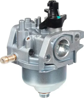 Zdjęcie produktu dla Gaźnik Cedrus silnik Y170V 484157