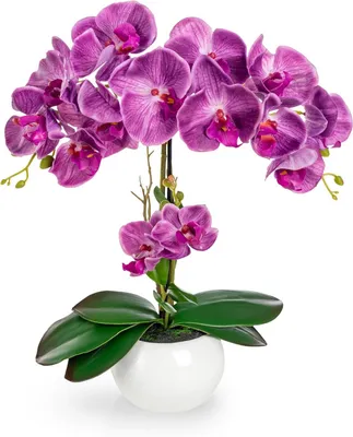 Productafbeelding van Kunstorchidee in pot - Nep bloemen - Woonkamer decoratie - Echte keramiek - 40 cm - Lila