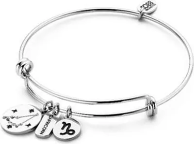 Produktbild von CO88 Collection Zodiac 8CB-90267 Stahlarmband mit Anhängern – Sternzeichen Steinbock – Einheitsgröße – Silberfarben