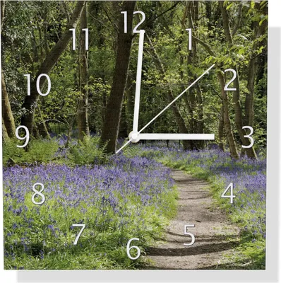 Produktbild von Wallario Design Wanduhr Wiese voller blauer Hasenglöckchen im Wald aus Aluverbund, Größe 30 x 30 cm