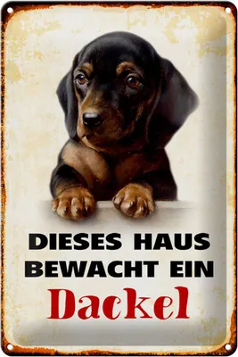 Produktbild von Blechschild Hund 20x30cm dieses Haus bewacht ein Dackel