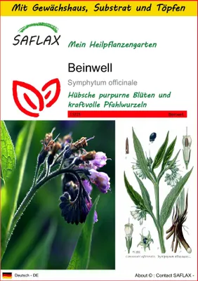 Produktbild von SAFLAX Anzucht Set - Beinwell - Symphytum officinale - 15 Samen - Mit Mini-Gewächshaus, Anzuchtsubstrat und 2 Töpfen