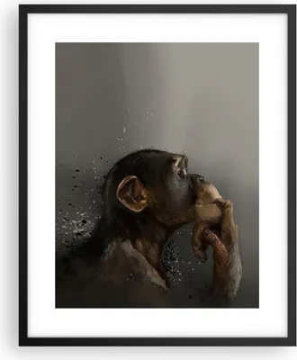 Produktbild von Gerahmtes Poster - Schwarzer Rahmen - Schimpanse Porträt Grafik - 40x50 cm - Wand Bild - Wanddeko - Wandbilder - Kunstposter - Wandposter - Bilderrahmen - Bilder - Kunstdruck - P2BPA40x50-4676