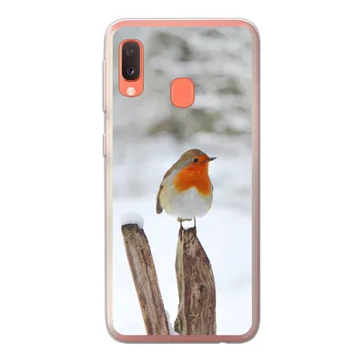 Produktbild von MuchoWow® Handyhülle Schutzhülle Hülle für Samsung Galaxy A20e Vogel - Zaun - Schnee Silikon Softcase Handy Hülle - Abdeckung