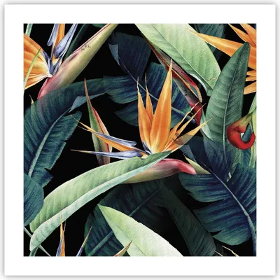 Produktbild von Poster - Poster ohne Rahmen - Pflanze Tropisch Blume - 50x50 cm - Wand Bild - Wanddeko - Wandbilder - Kunstposter - Wandposter - Bilder - Kunstdruck - Wanddekoration - Wandbild - P2XAC50x50-5093