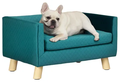 Produktbild von Hundesofa Hundebett Hundecouch aus Samt Rückenlehne, Holzbeine, Kissen, für Wohnzimmer