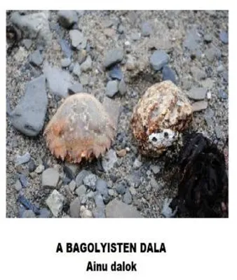 Produktbild von A bagolyisten dala