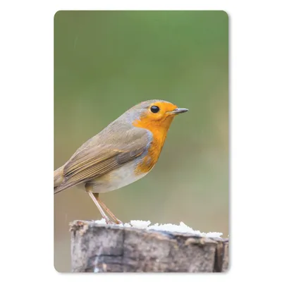 Produktbild von MuchoWow® Mauspad Mousepad Tiere - Vogel - Rotkehlchen 18x27 cm - Mousepads - Maus Mat - Pad - Mausunterlage